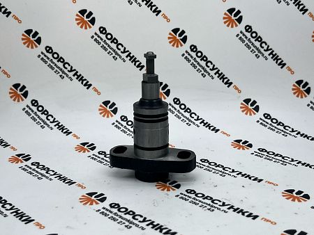 Плунжерная пара P1309 (ZS1309) LongBeng