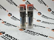 Распылитель RUDLLA140P1790 (0433172092) MAZ/GAZ Азпи